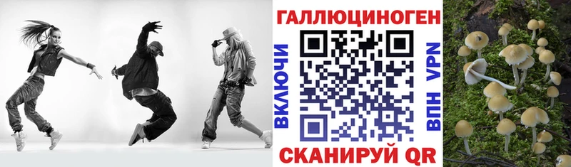 Псилоцибиновые грибы Psilocybe  Барнаул 