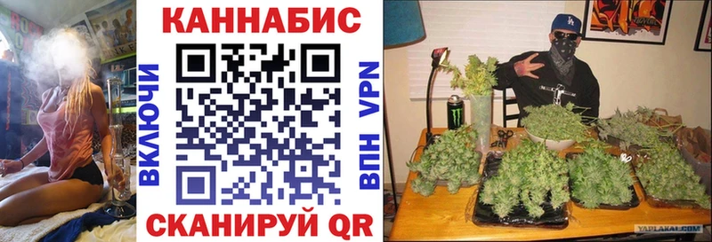 МАРИХУАНА Bruce Banner  Барнаул 